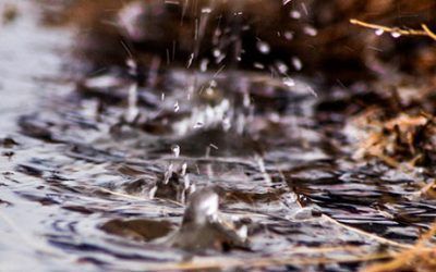 ¿Puede el clima influir en el zumbido de oído?
